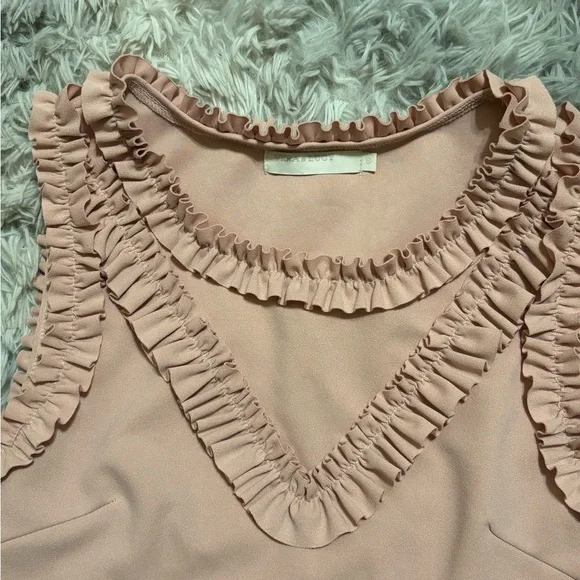 Pink Ruffled Crop Tank Top - Picture 4 of 5